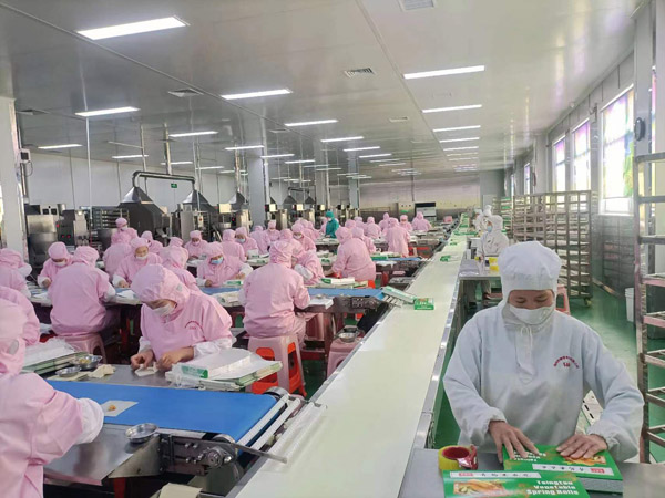 春卷包制 春卷包制